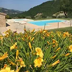 Amico Serra San Quirico