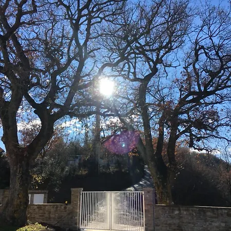 Amico Bed & Breakfast Serra San Quirico