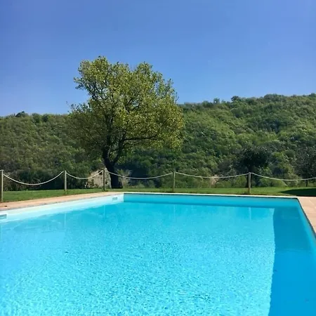 Amico Serra San Quirico