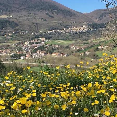 Amico 4* Serra San Quirico