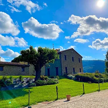 Amico Bed & Breakfast Serra San Quirico