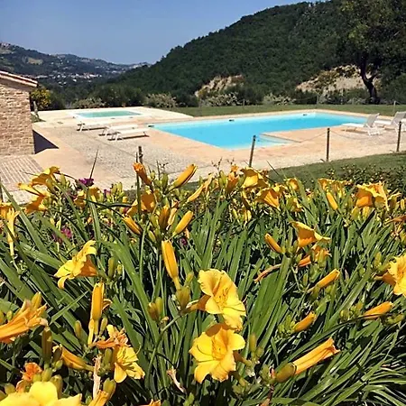 Bed & Breakfast Amico 4*