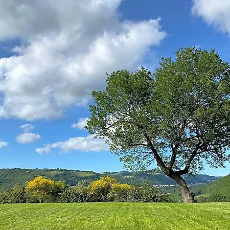 Amico 4* Serra San Quirico