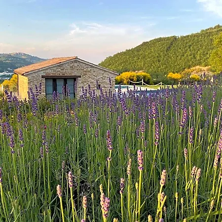 Bed & Breakfast Amico 4*