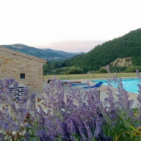 Bed & Breakfast Amico