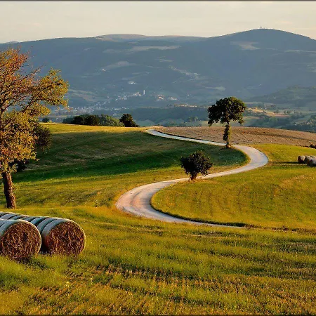 Amico Bed & Breakfast Serra San Quirico