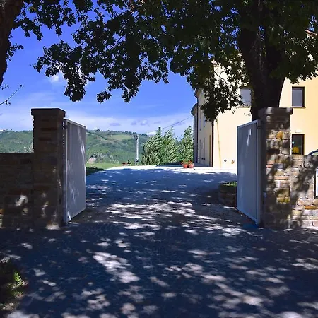 Amico * Serra San Quirico
