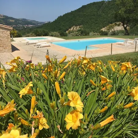 Amico Serra San Quirico