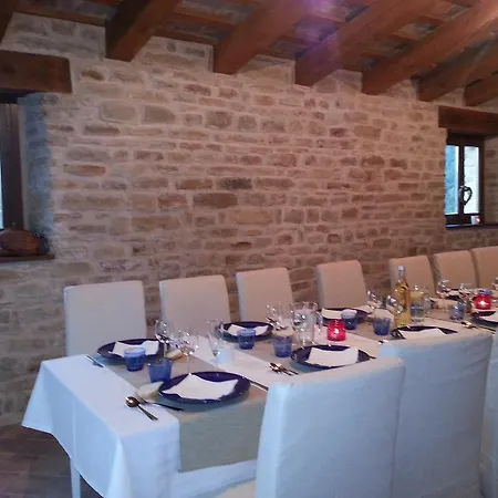 Amico * Serra San Quirico