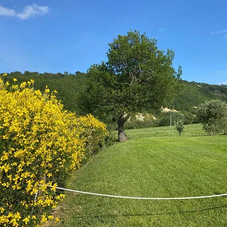 Amico Bed & Breakfast 4*